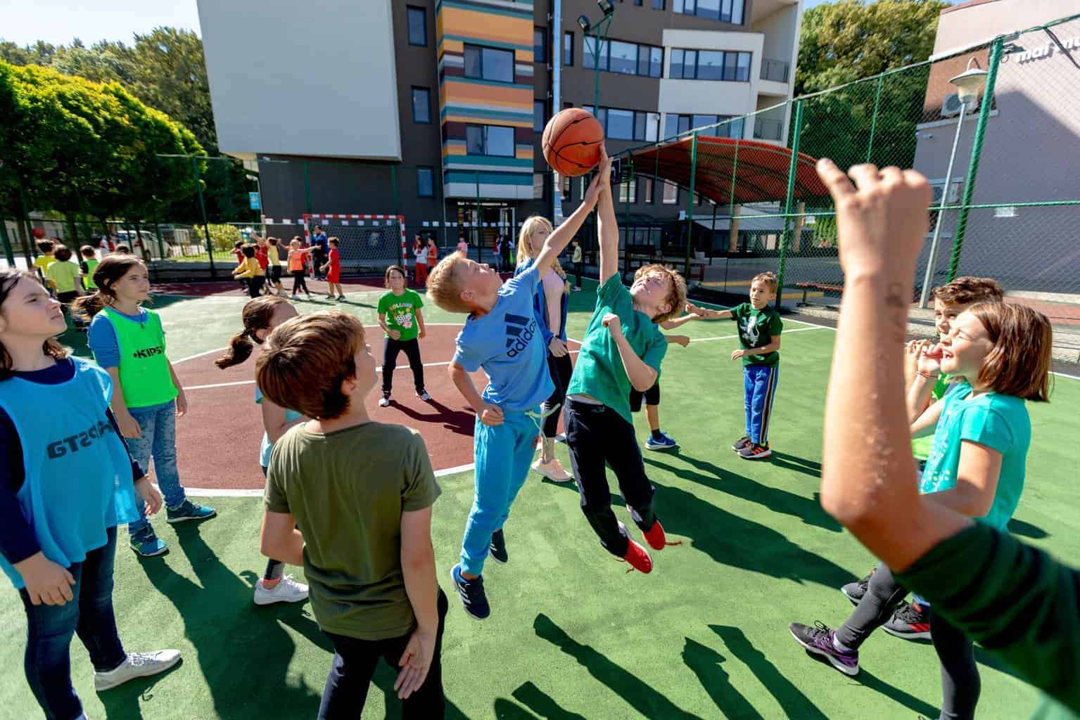 Avenor Sports Olympics